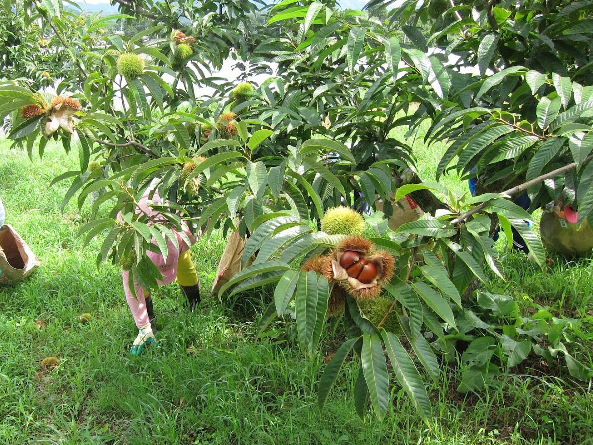 Free HTML5 Bootstrap Template