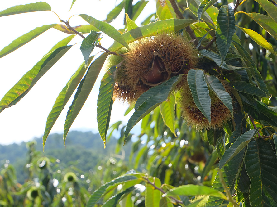 Free HTML5 Bootstrap Template